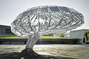Brain-1.2red_NEU_HGplus_300x200 (2).jpg