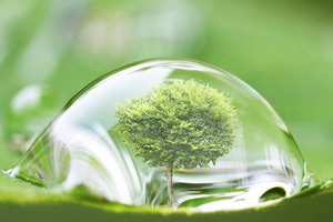 GL-AST_Image-Web-Sim-Tue-Green-Fuels_12-20.jpg