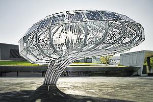 Brain-1.2red_NEU_HGplus_300x200.jpg