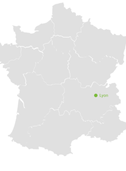lyon.png