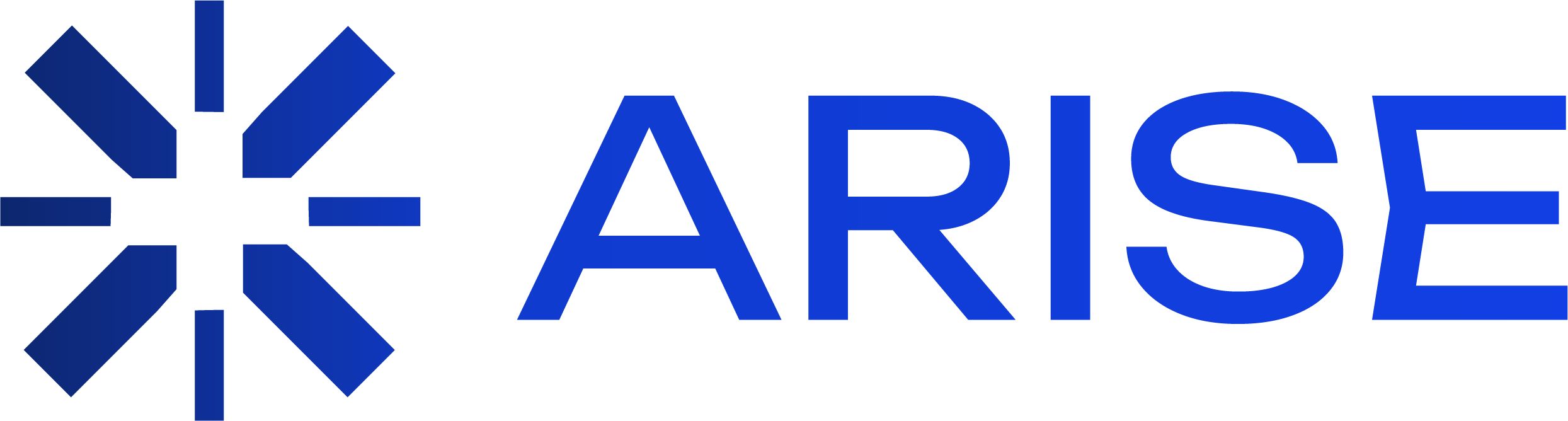 ARISE Logo
