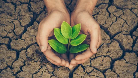 Environmental Sustainability