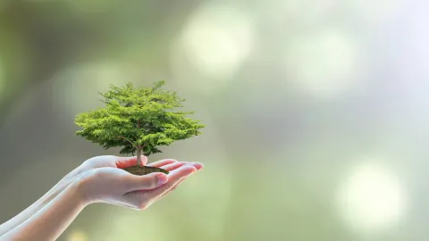 Green Energy at Fair Prices