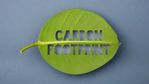 Sustainable Mobility Carbon Footprint