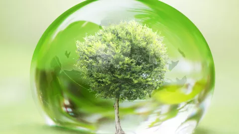 Energy Ecosystem