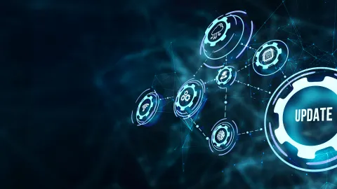 Software Maintenance and Support