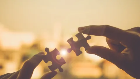 AVL Start-Up and Operation Support