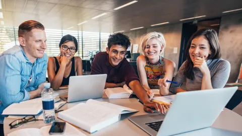 University Partnership Program