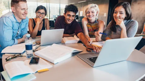 University Partnership Program