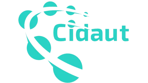 Cid aut Project
