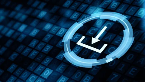 Software Installation and Licensing