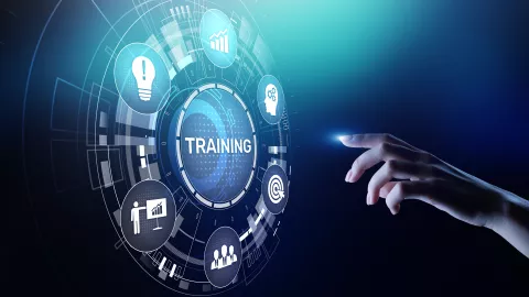 Software Training