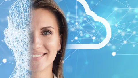 Experience Cloud
