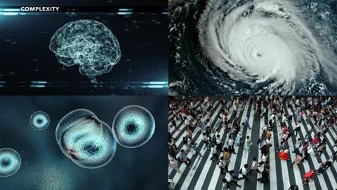 Complexity