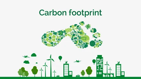 Image Sustainability