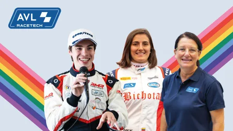 Image Engineered by Diversity