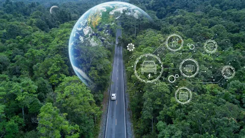 Shutterstock, road and forest