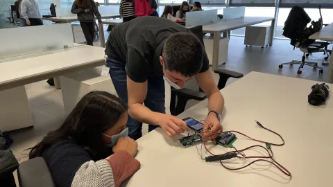 Green Camp Laboratory 2022