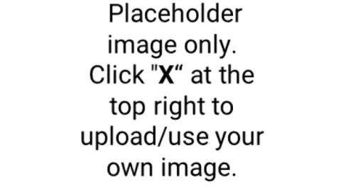 placeholder