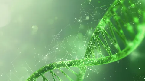 Flexible & Customizable