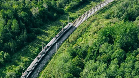 train from above running through dense green woods