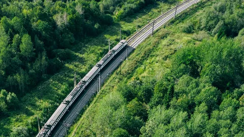 train from above running through dense green woods