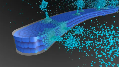 gl-ast_image_blog-dishwasher-simulation-with-preonlab-header_2025