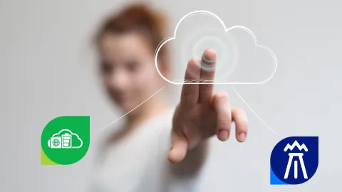 Testing Software as a Servie