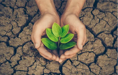 Environmental Sustainability