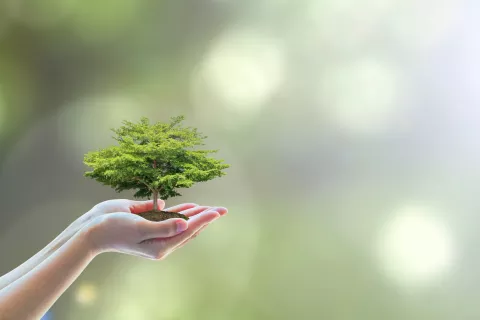 Green Energy at Fair Prices