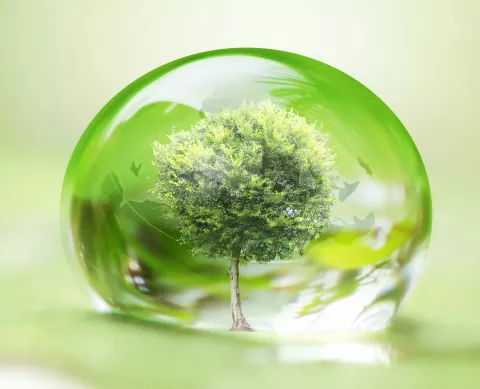 Energy Ecosystem