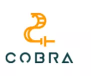COBRA