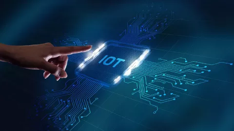 IoT