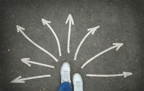 Career Paths