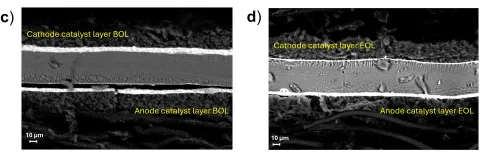 Carbon corrosion of the cathode catalyst layer (upper white stripe): begin of life (left); end of life (right) [1].